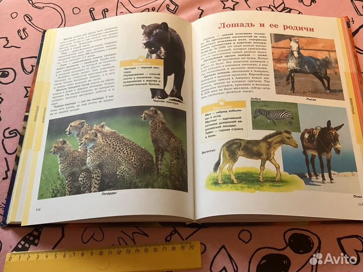 Большая иллюстрированная энциклопедия школьника