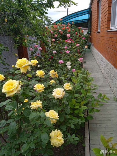 Дом 170 м² на участке 7 сот.