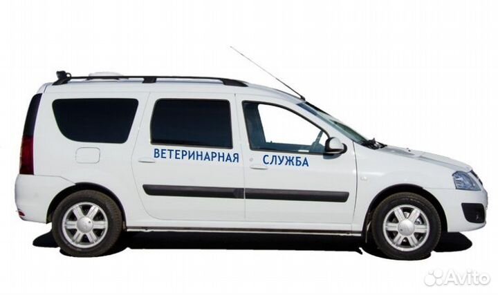 Ветврач. Усыпление и индивидуальная кремация собак