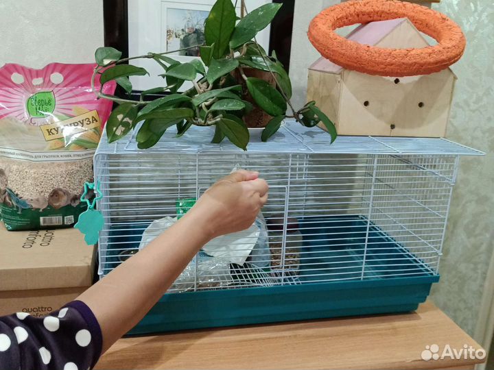 Клетка для грызунов