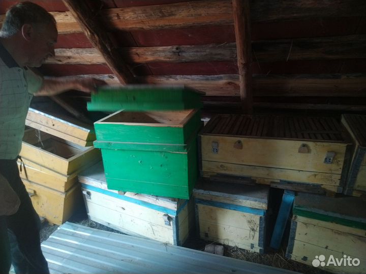 Ульи для пчел