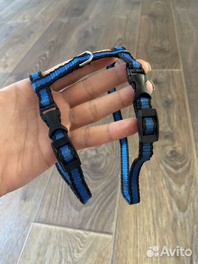 Шлейка и поводок