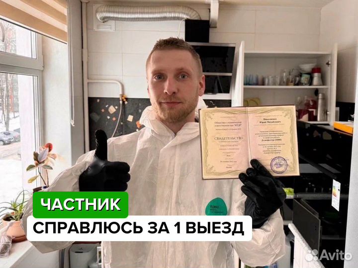 Уничтожение клопов тараканов. Дезинфекция