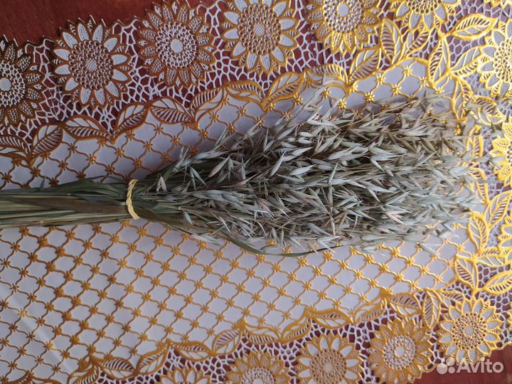 Сухоцветы для творчества