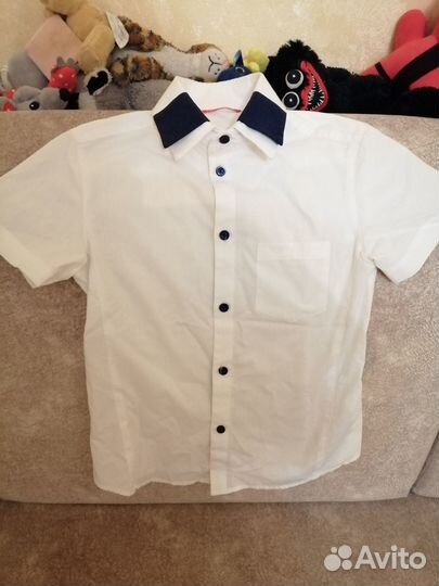 Рубашка pelican