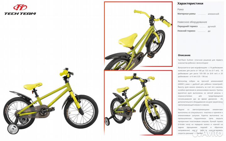 Tech team gulliver 18