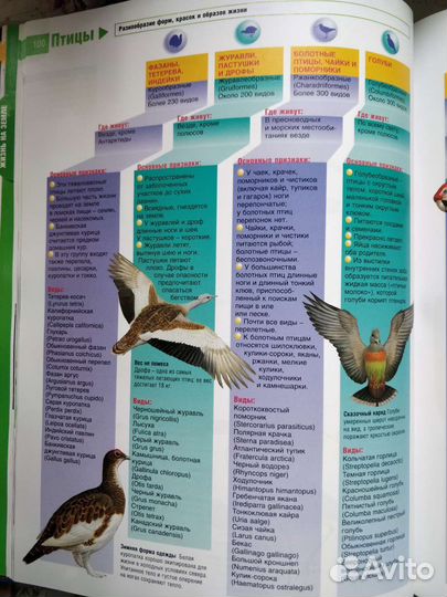 Энциклопедический справочник 