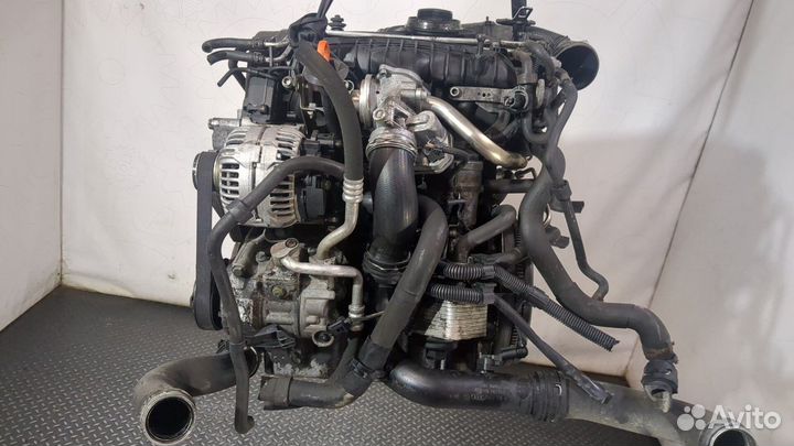 Двигатель Volkswagen Jetta 5 BKD 2 Дизель, 2007
