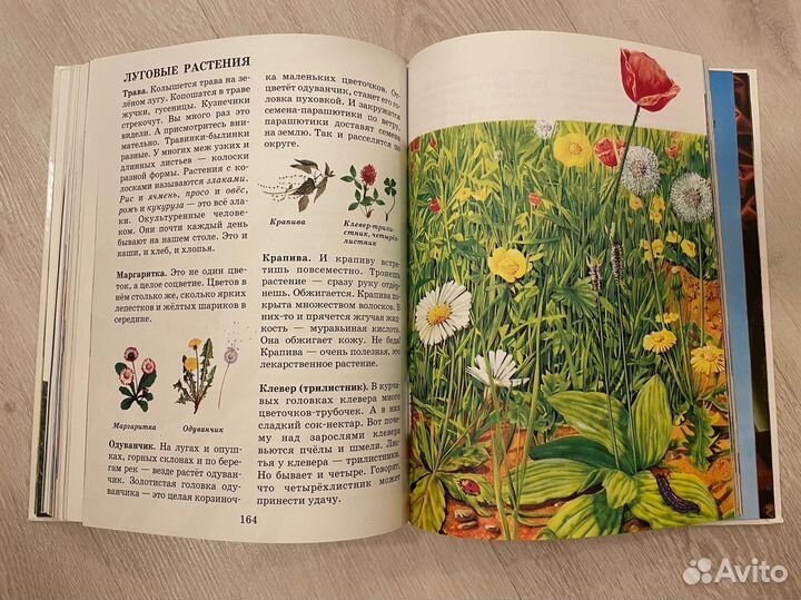 Большая книга обо всём на свете