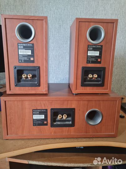 JBL Northridge EC25, JBL Northridge E20