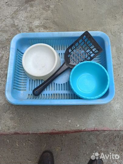 Набор для содержания кошки