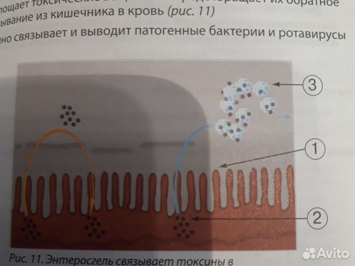 Фармакотерапия антимикробными препаратами в схемах