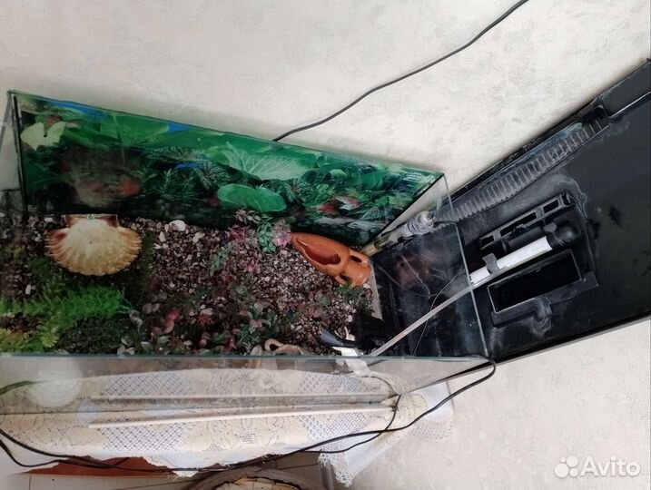 Аквариум с рыбками