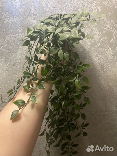 Искусственные цветы IKEA