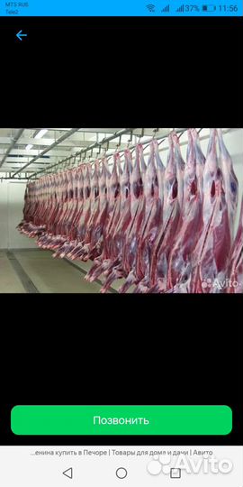 Оленина в тушах