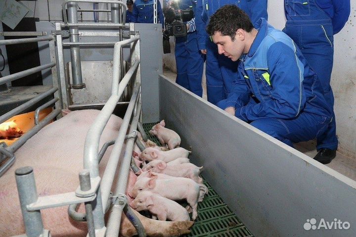 Оператор по уходу за животними.Вахта