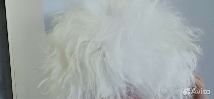 Папаха - шапка казачья