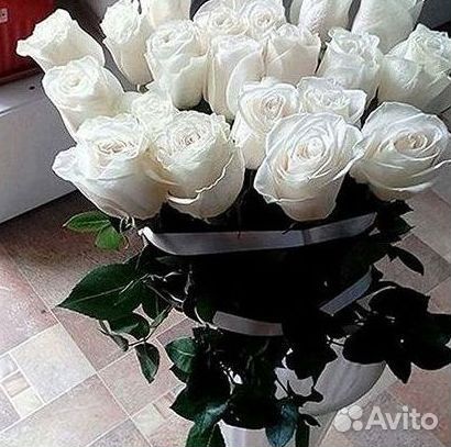 Высокие розы Гигантские розы с доставкой