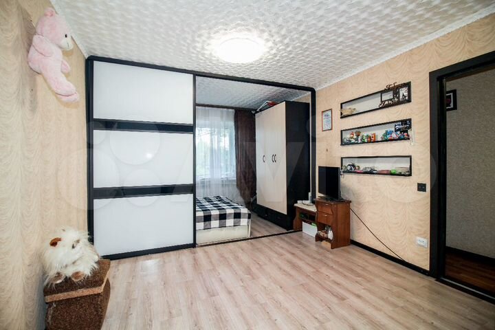1-к. квартира, 33,3 м², 2/2 эт.