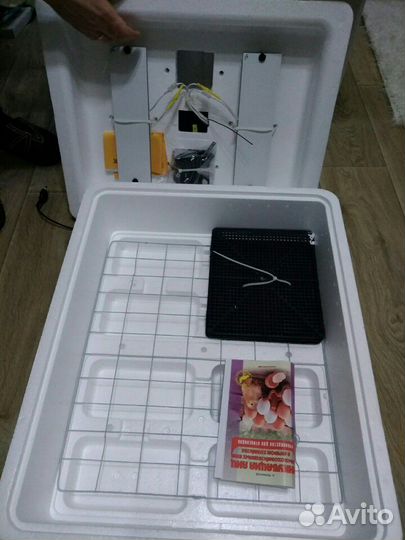 Инкубаторы несушка