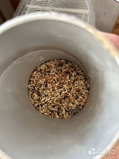 Клетка для птиц в подарок много принадлежностей