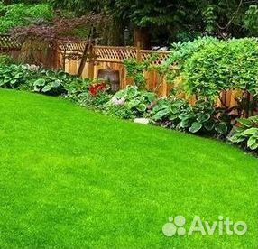 Газон от производителя