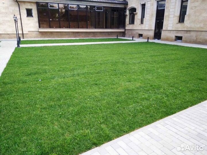 Укладка и продажа рулонного газона