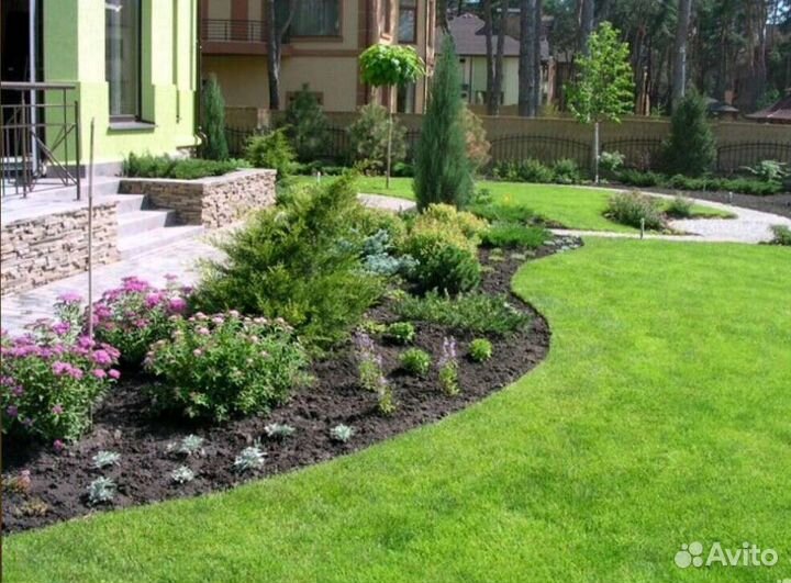 Реализуем газонную траву от производителя