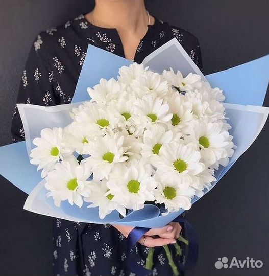 Хризантема Доставка цветов