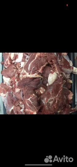 Корм для собак мясо