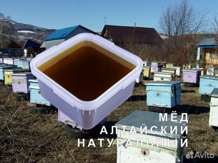 Мёд натуральный алтайский оптом