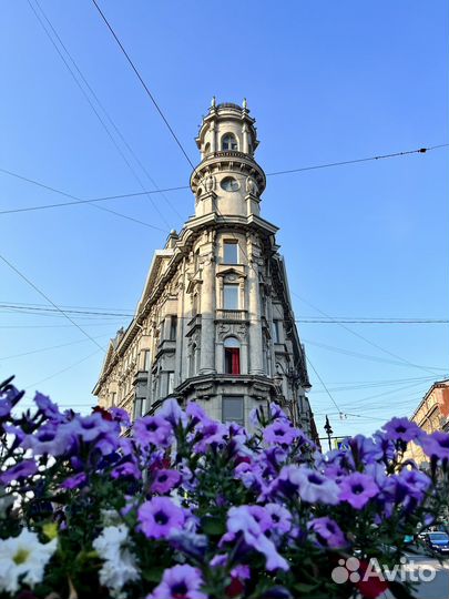 Гид-экскурсовод по Петербургу. Парадные и центр