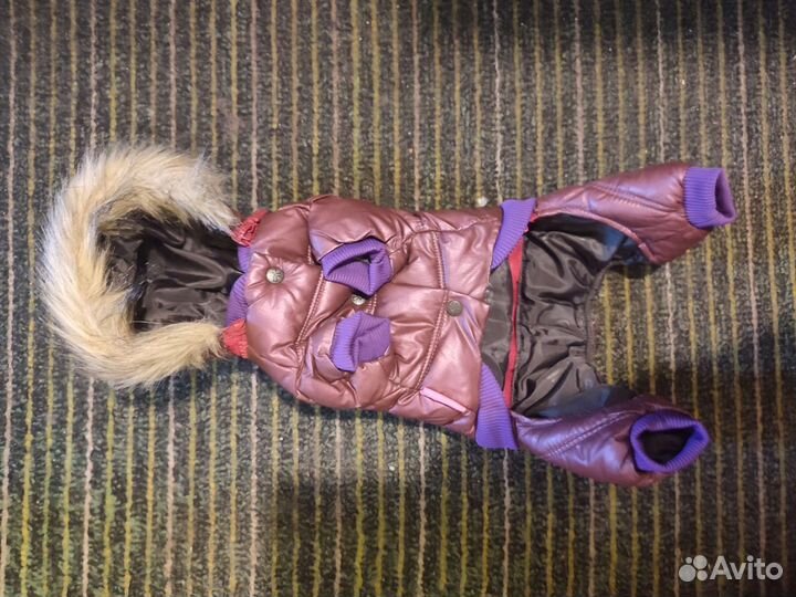 Комбинезон для маленькой собачки