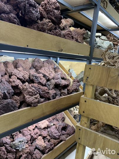 Лава, коряги, камни, грунт