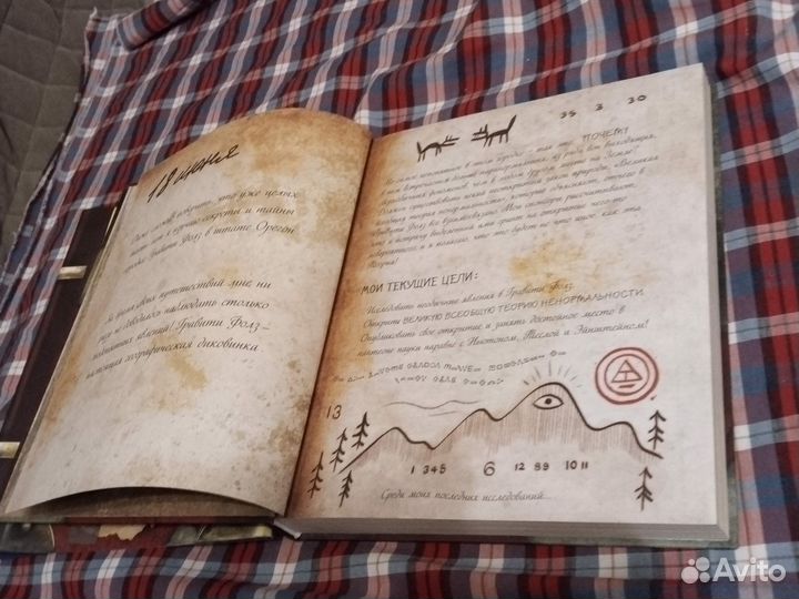 Книга Дневник 3