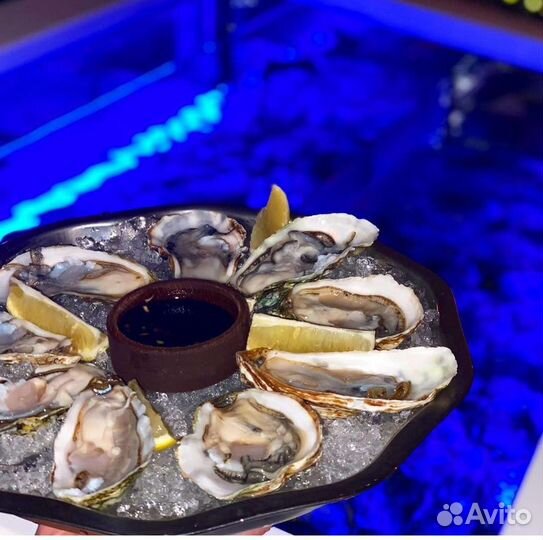 Живые устрицы