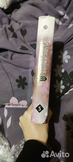 Благословение Небожителей 5 том