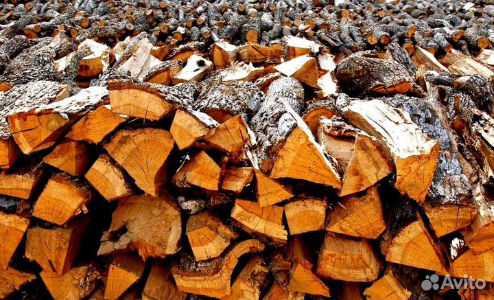Дрова сегодня