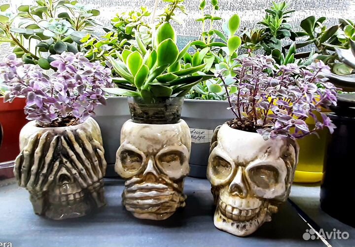 Кашпо,подарок,цветы