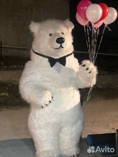 Выступление Белого Мишки