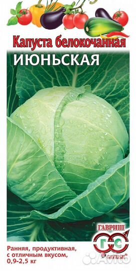 Рассада ранней капусты