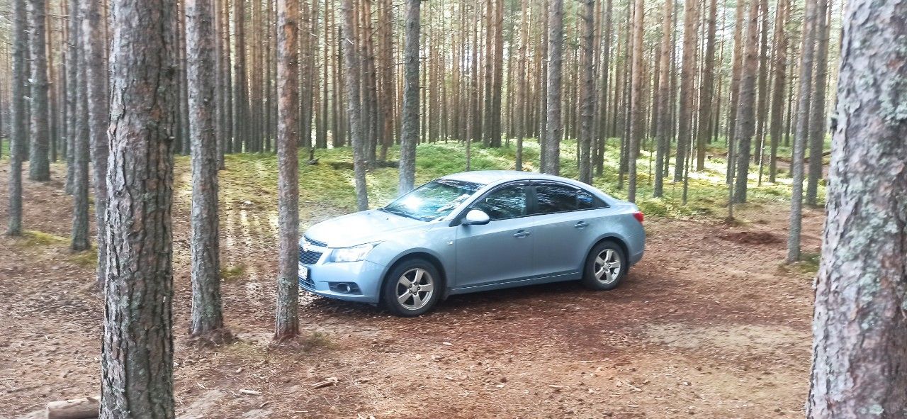 Chevrolet Cruze: фото владельца