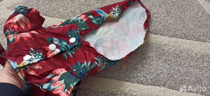 Рубашка Новая для кошек или маленьких собак