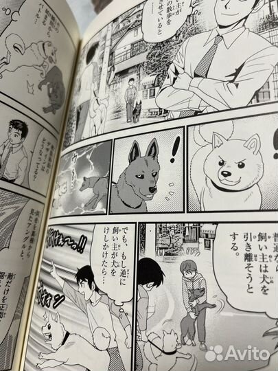 Покемон книга на Японском языке