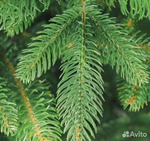 Ёлка искусственная новогодняя литая