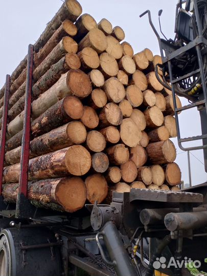 Пиловочник сухостой