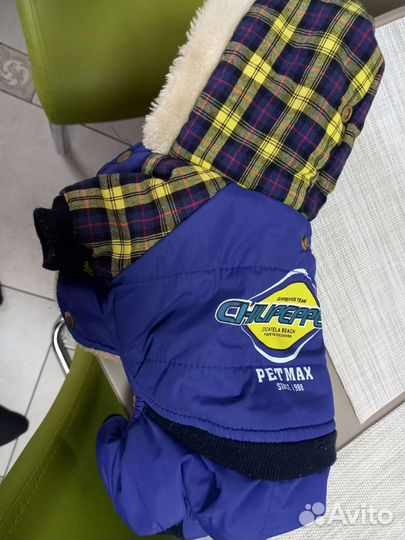 Одежда для маленькой собачки