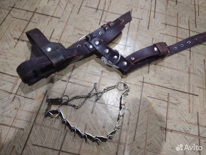 Шлейка и строгий ошейник