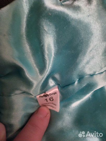 Одежда для собак