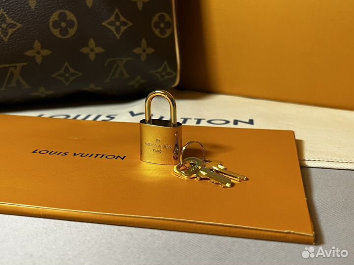 Сумка louis vuitton speedy 25